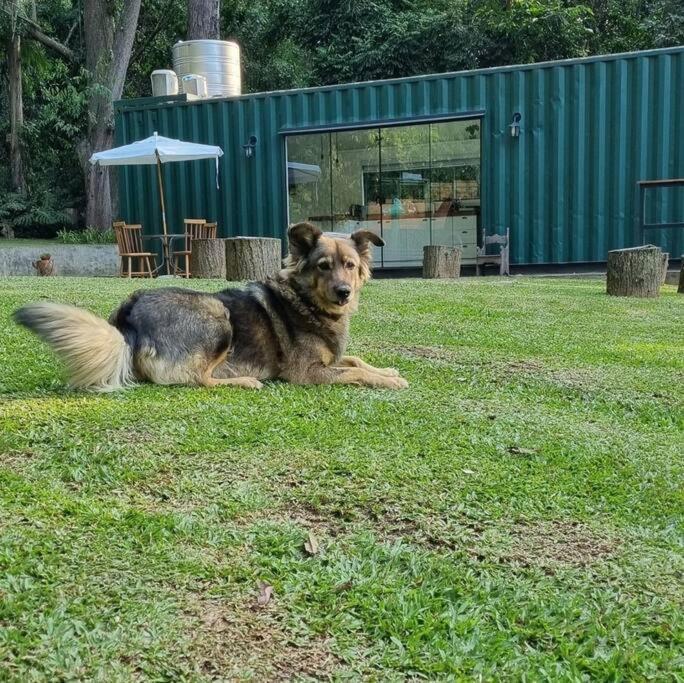 Casa Container Na Represa De Guarapiranga! Sonho! Βίλα Σάο Πάολο Εξωτερικό φωτογραφία