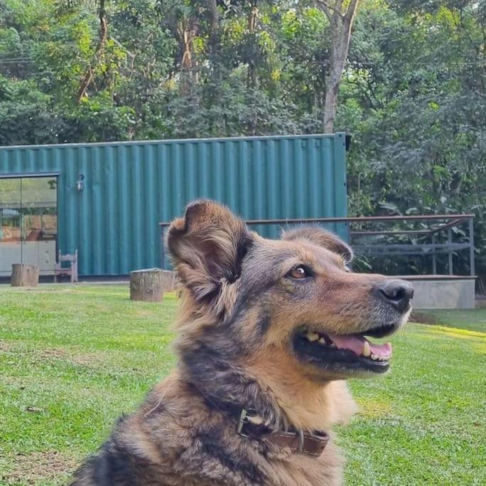 Casa Container Na Represa De Guarapiranga! Sonho! Βίλα Σάο Πάολο Εξωτερικό φωτογραφία